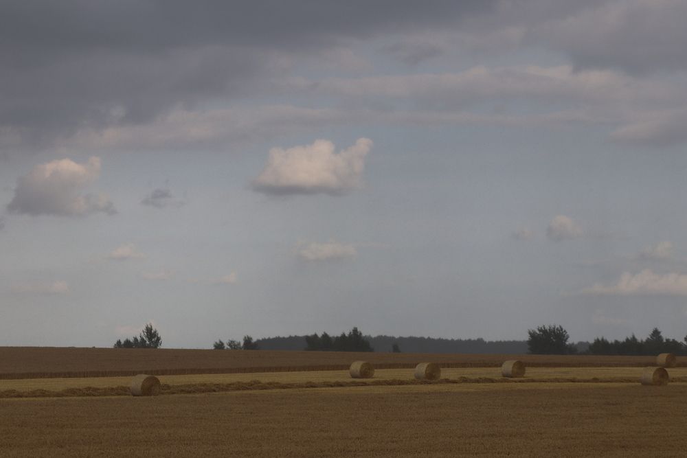 Фотография автора евгения