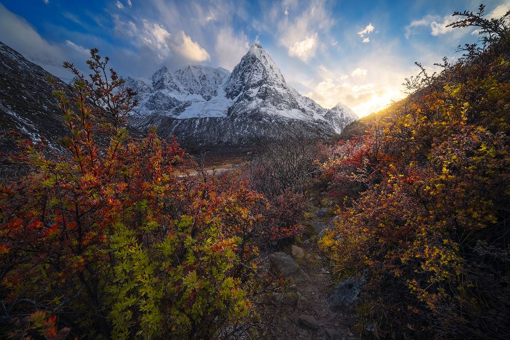 Colorful Tibet