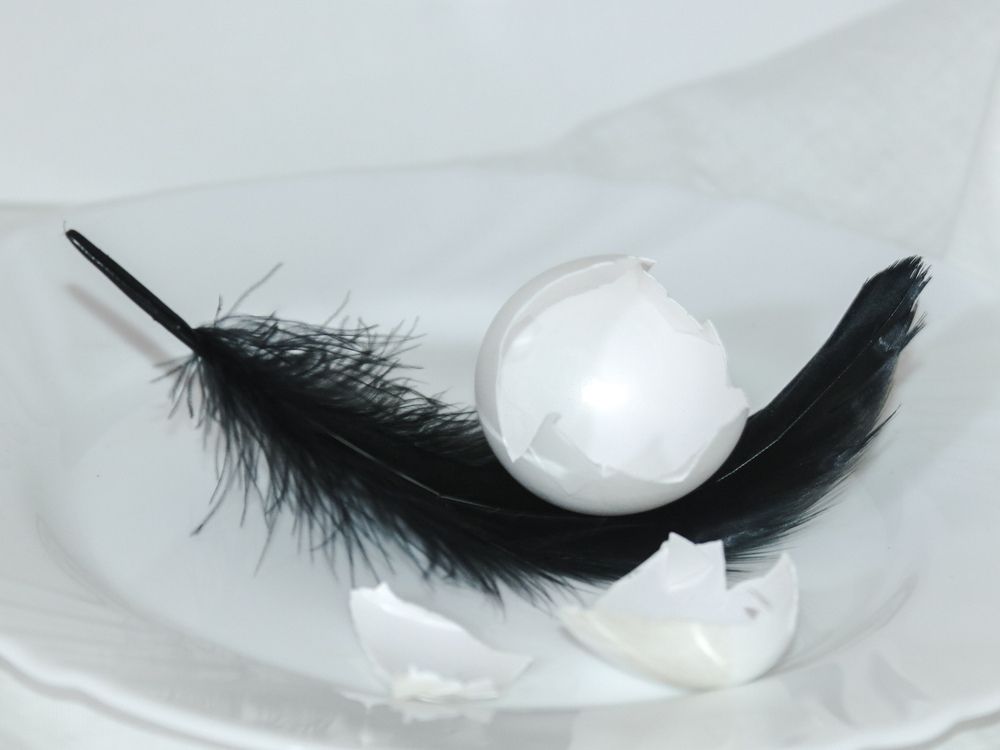 Фотография автора Tahani Almarafi