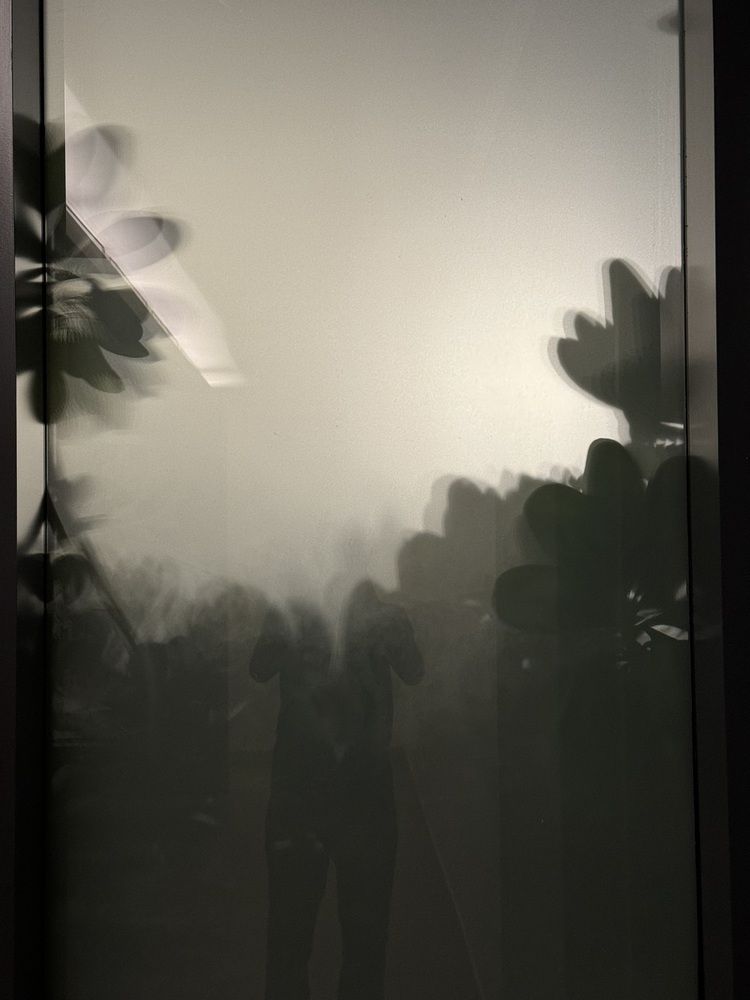 Photograph by Musaib iqbal bhat