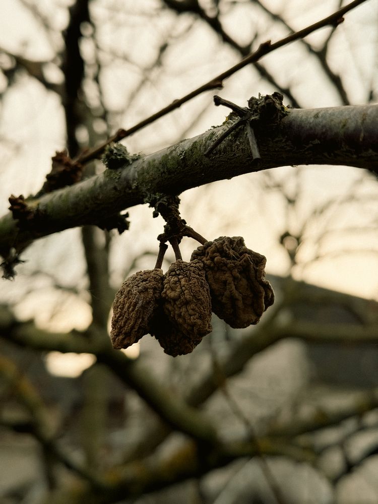 Photograph by Uladzimir Hvozd
