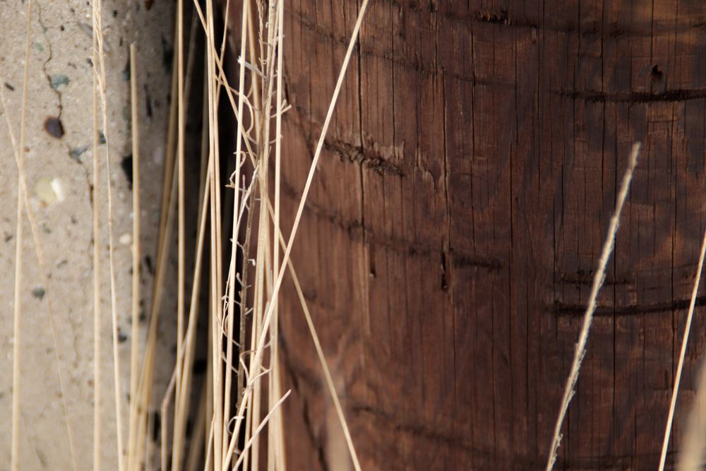 Photograph by Алексей Банных