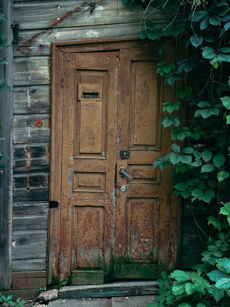 Photograph by Наталья Чехова