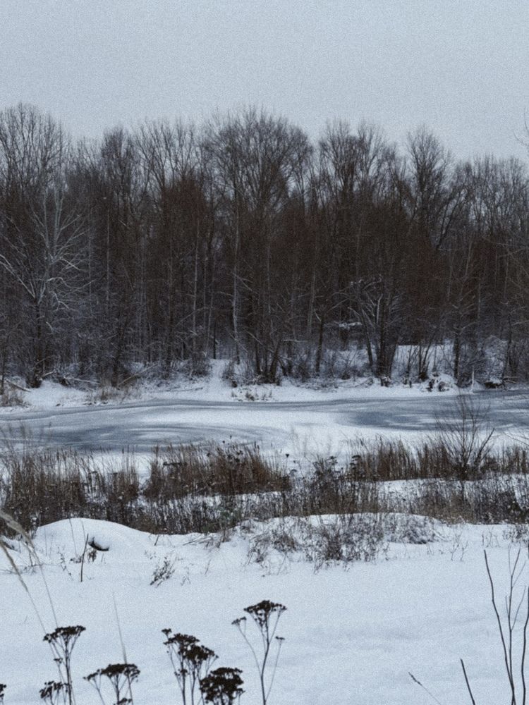 Photograph by Ксения Гулькова