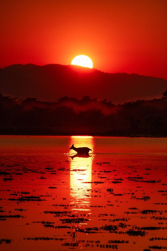 Photograph by Zubair Irshad