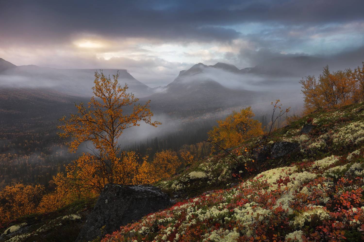 Фотография #12941611