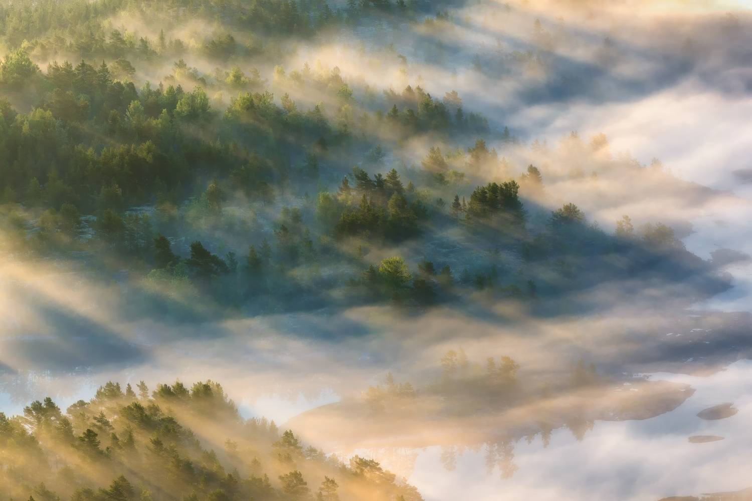 Фотография #12941622