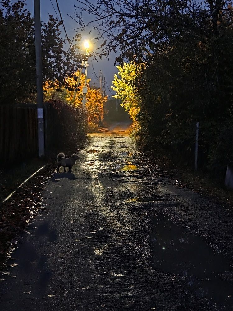 Photograph by Мария Разумова