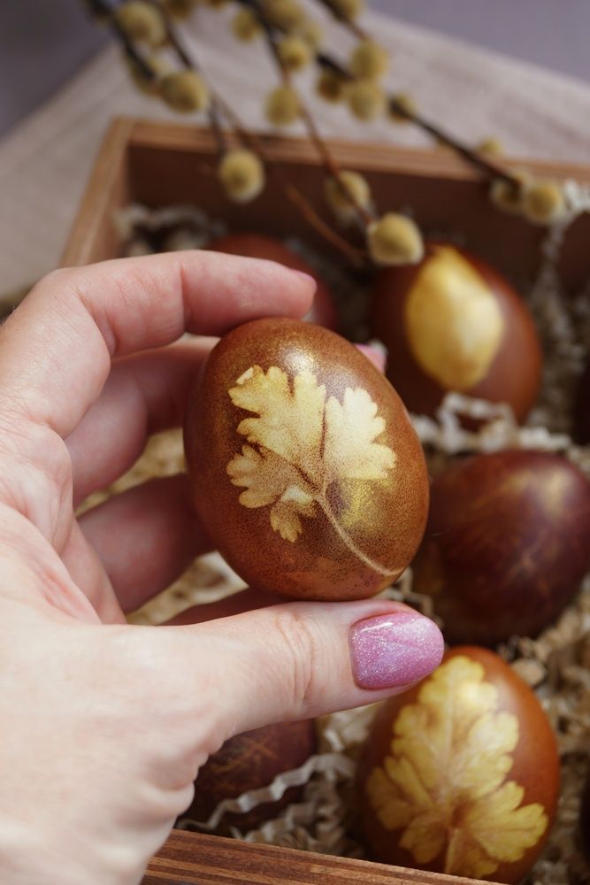 Фотография автора Александра Исаева