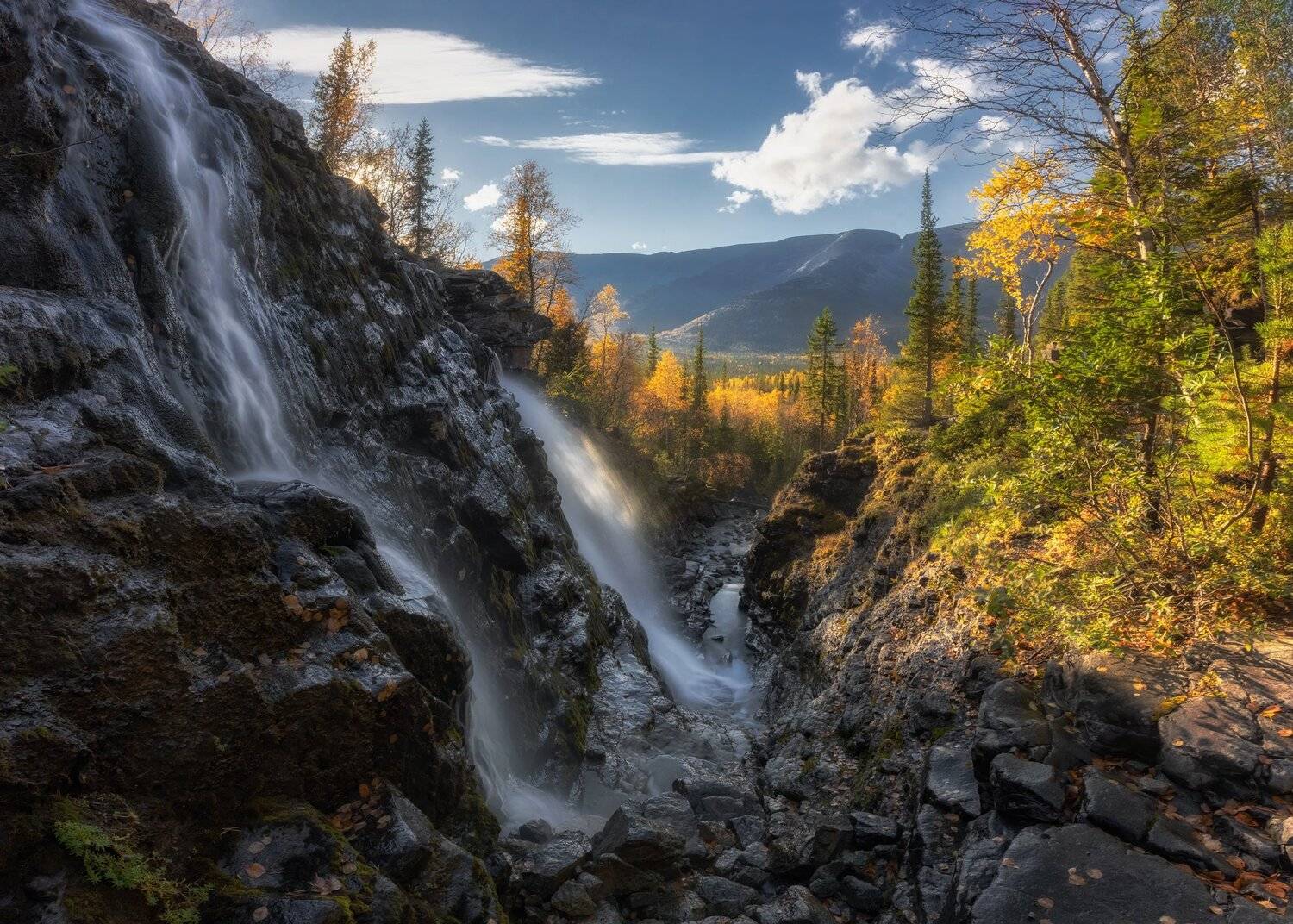 Фотография #12941650