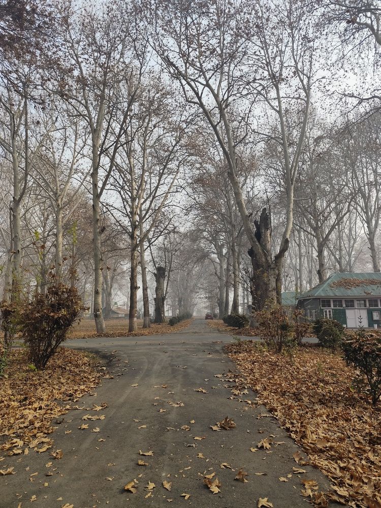 Photograph by Rehana