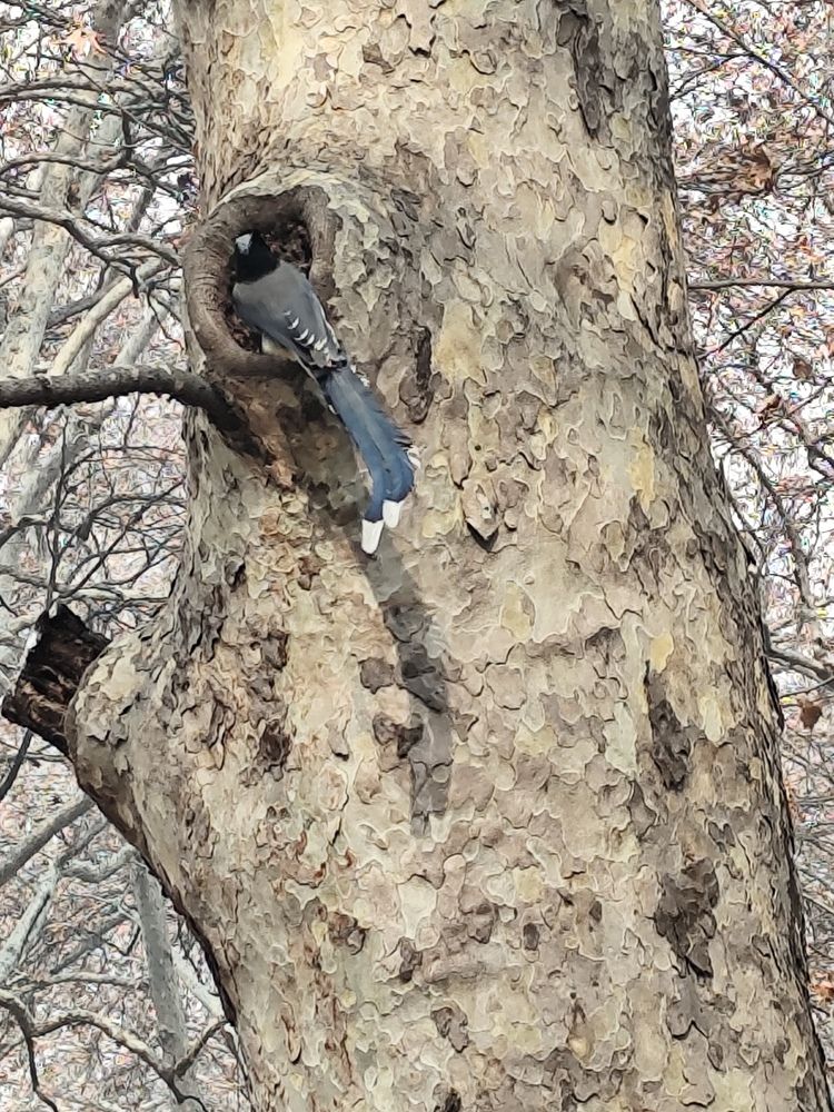 Photograph by Rehana