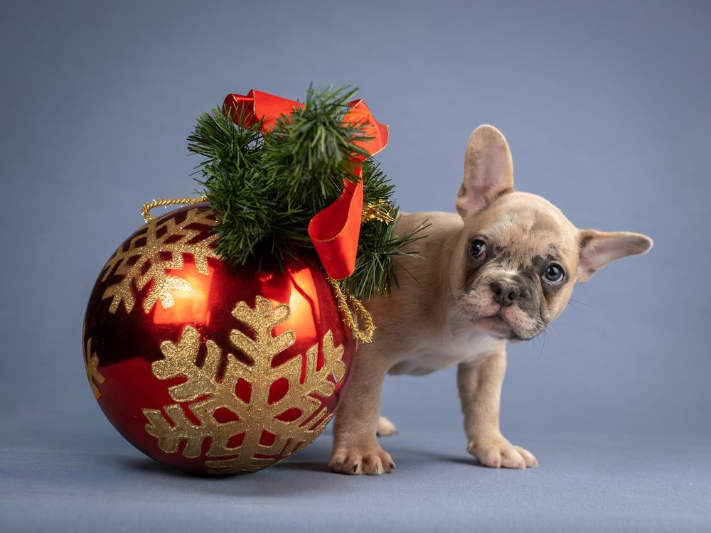 Photograph by Dina Damotseva