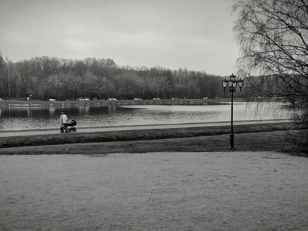 Photograph by Василиса