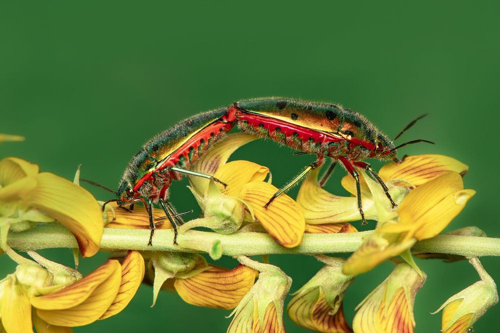 Photograph by ARUNAVA DEY