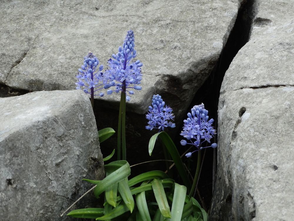 Фотография автора Ivan Ćetković