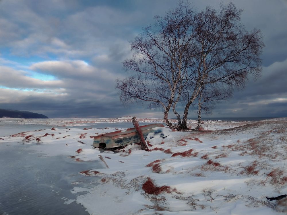 Фотография автора Анастасия Сахаревич