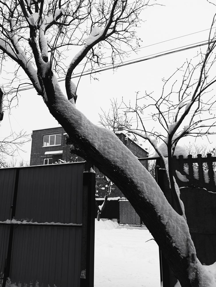 Photograph by Савина Анастасия Николаевна