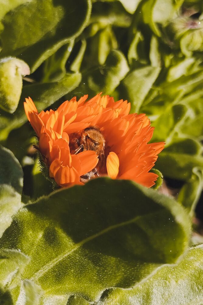 Photograph by Савина Анастасия Николаевна
