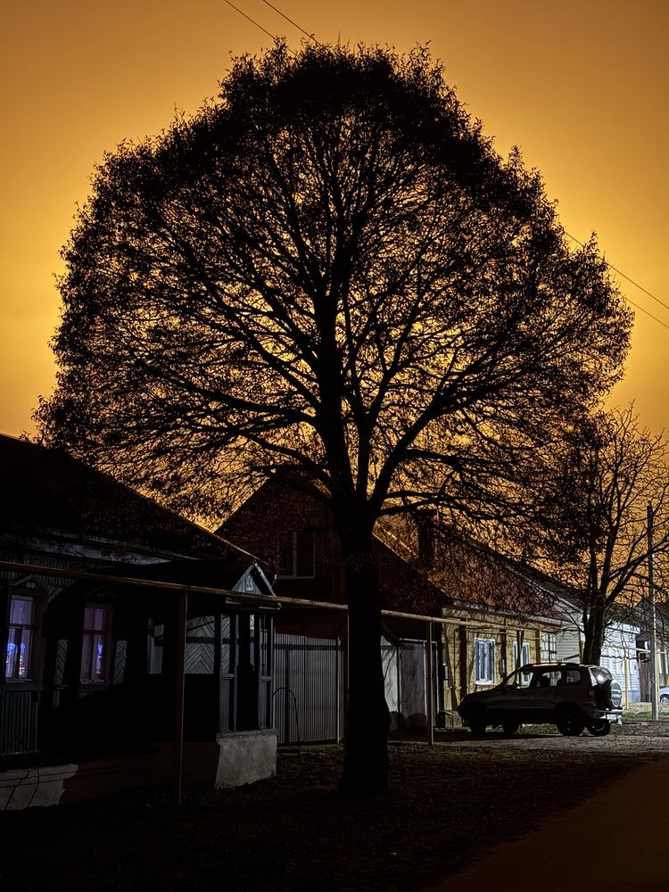 Фотография автора Татьяна