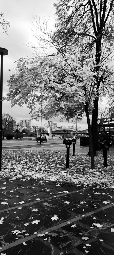 Photograph by Екатерина Александровна