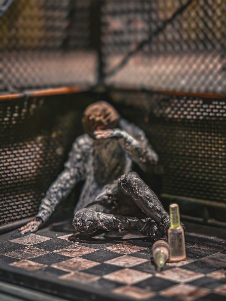 Фотография автора Evgeniy Shabanov