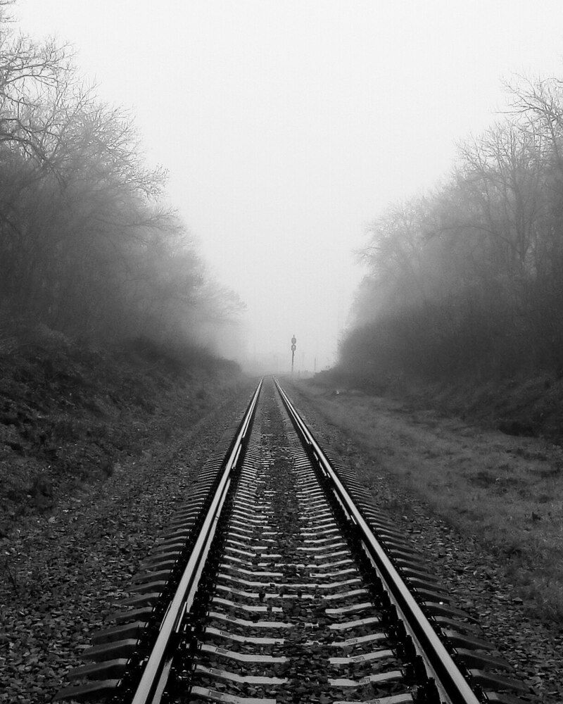 Photograph by Мария Лавриненко