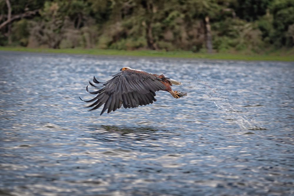 Photograph by Aniket Karane