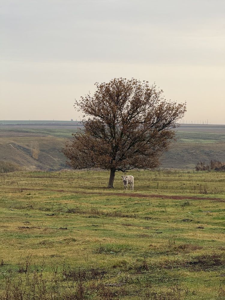 Фотография автора Иван Безрядин