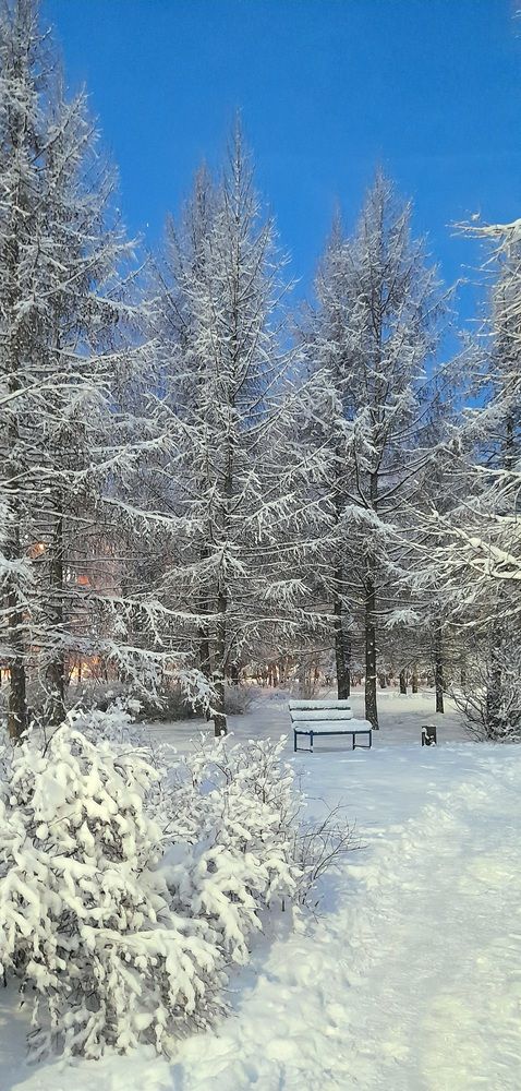 Photograph by Соколова Елена