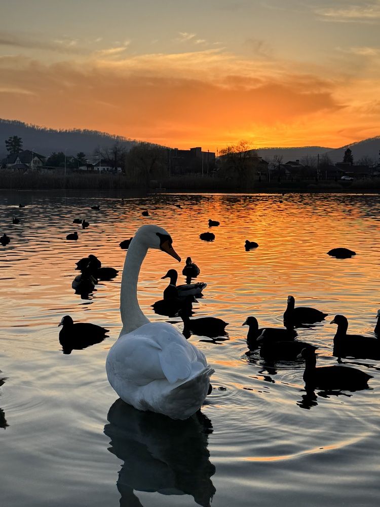 Photograph by Татьяна Семёнова