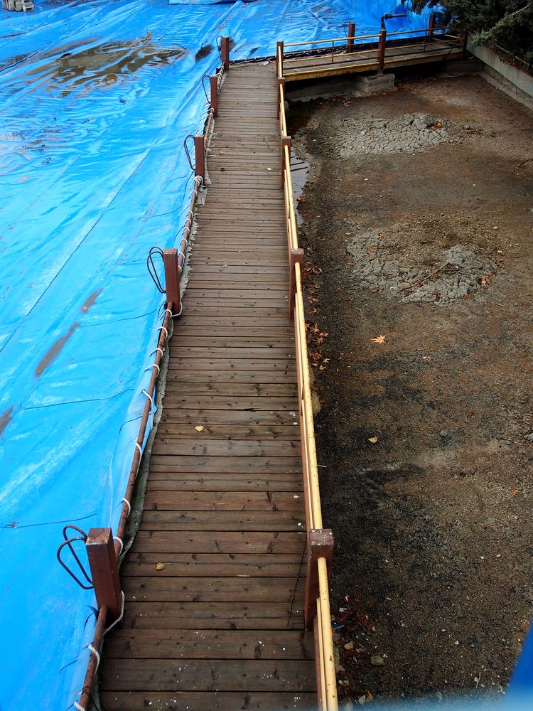 Photograph by Abdolreza Aleagha