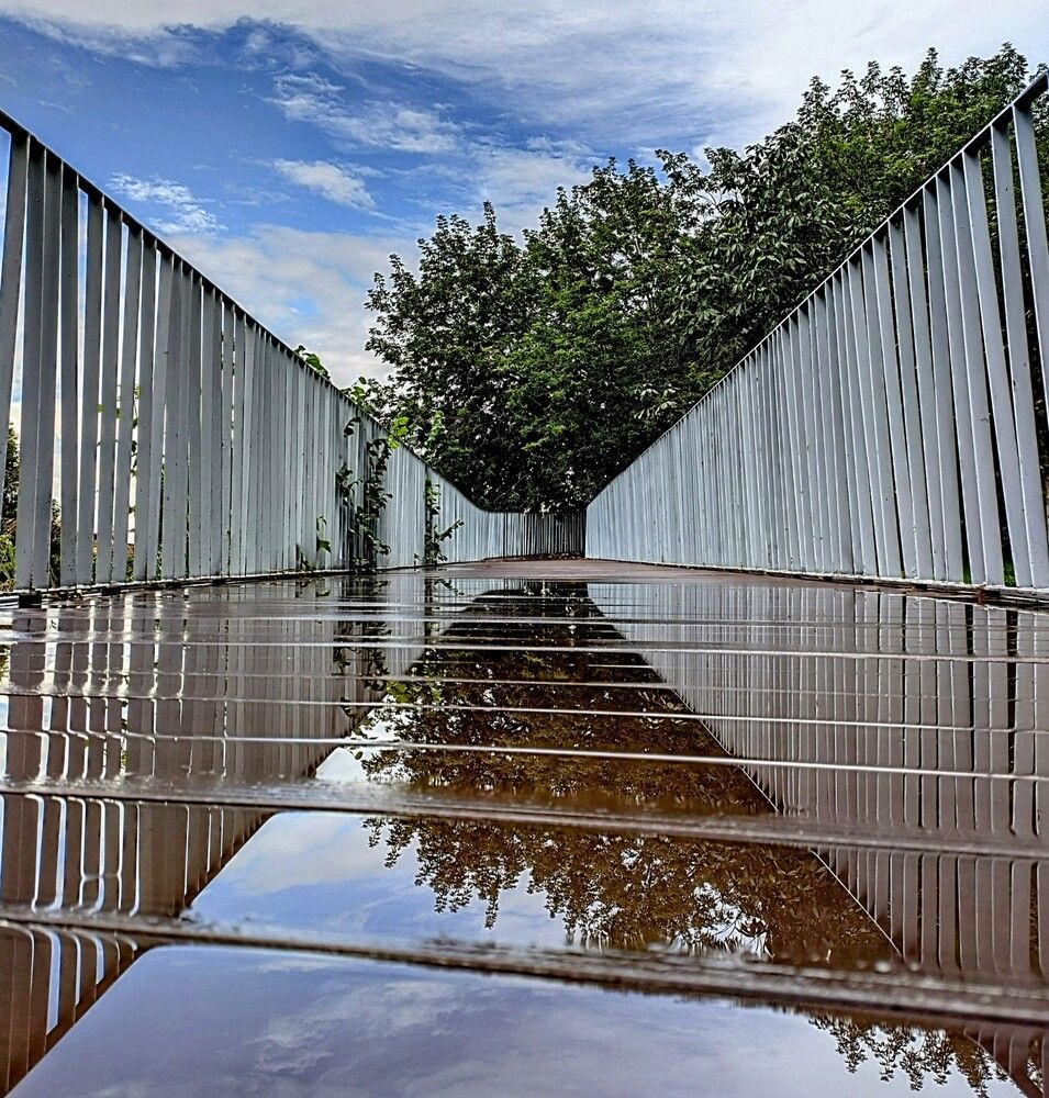 Photograph by Наталия