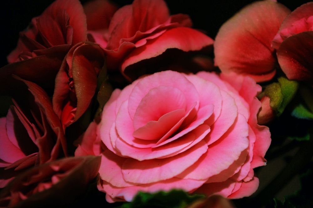 Photograph by Михаил Никитин