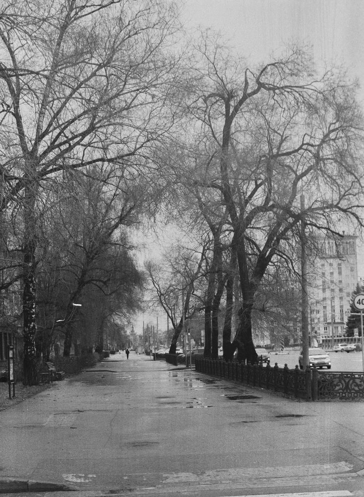 Photograph by Михаил Соколов