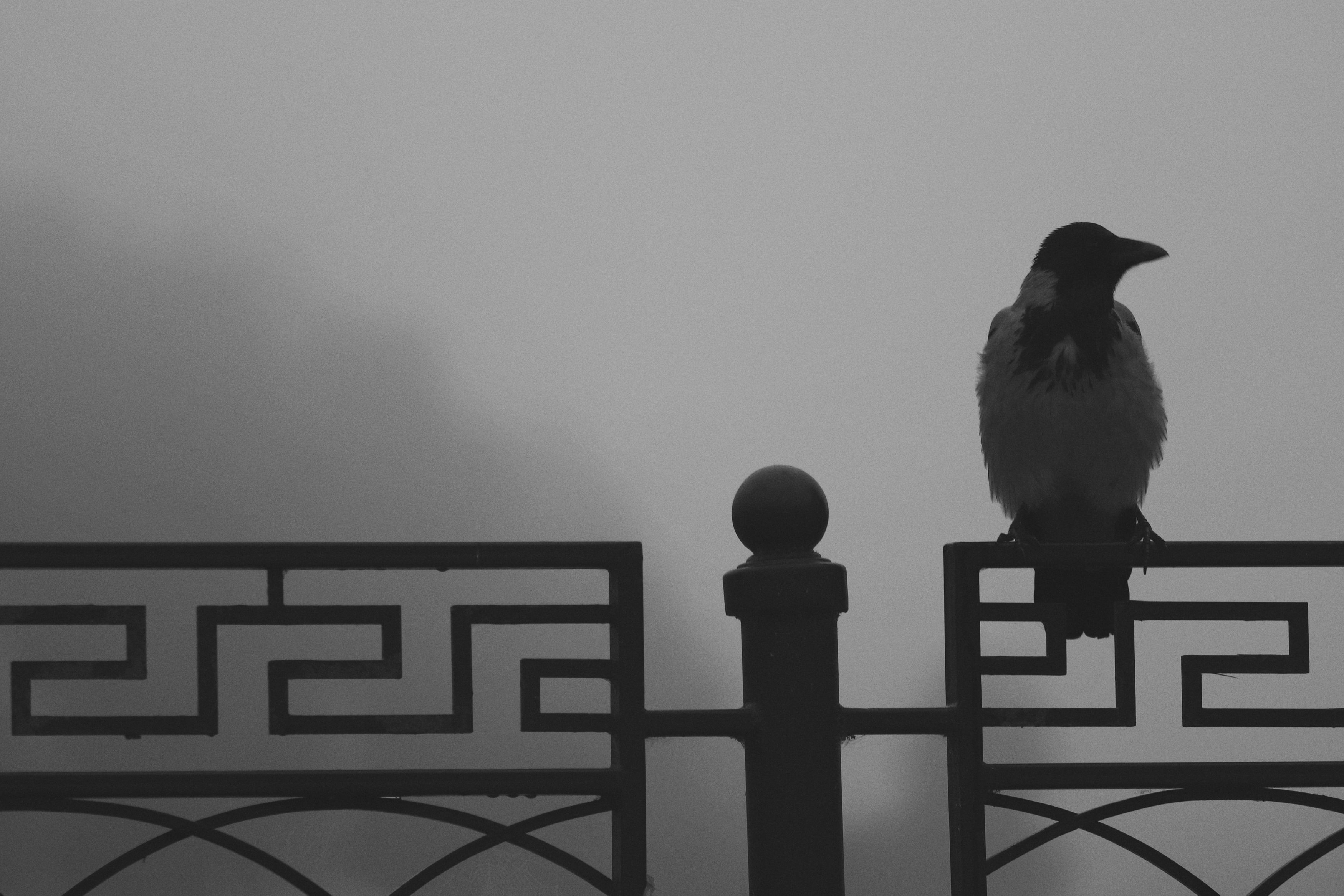 Фотография автора Елена Кириллова