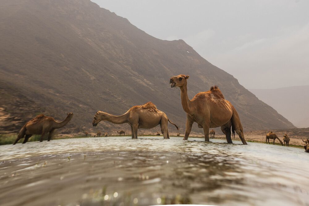 Photograph by Zubair Irshad
