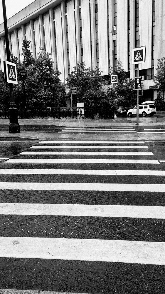 Фотография автора Наташа Васина