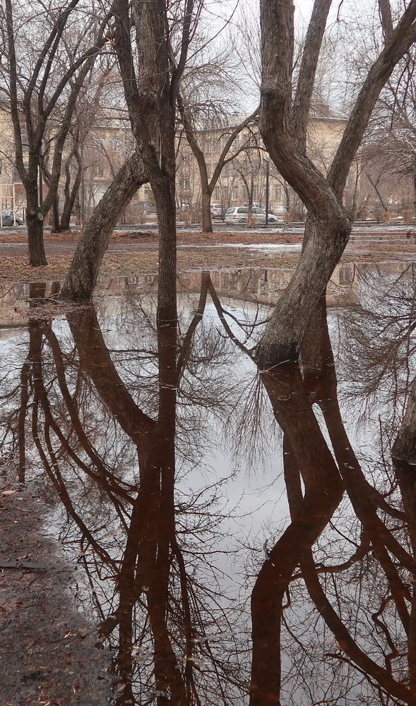 Photograph by Нина