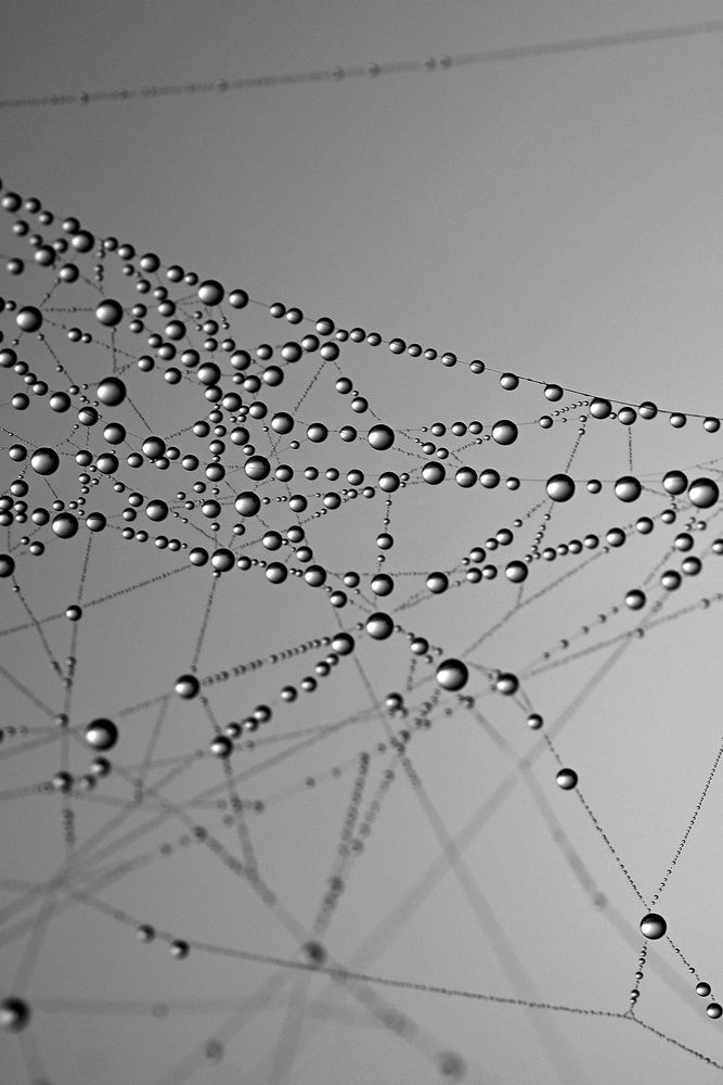 Photograph by Егор Жук