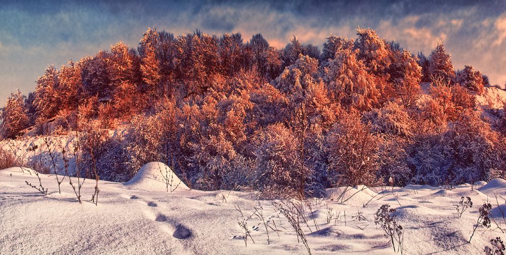 Photograph by Владимир