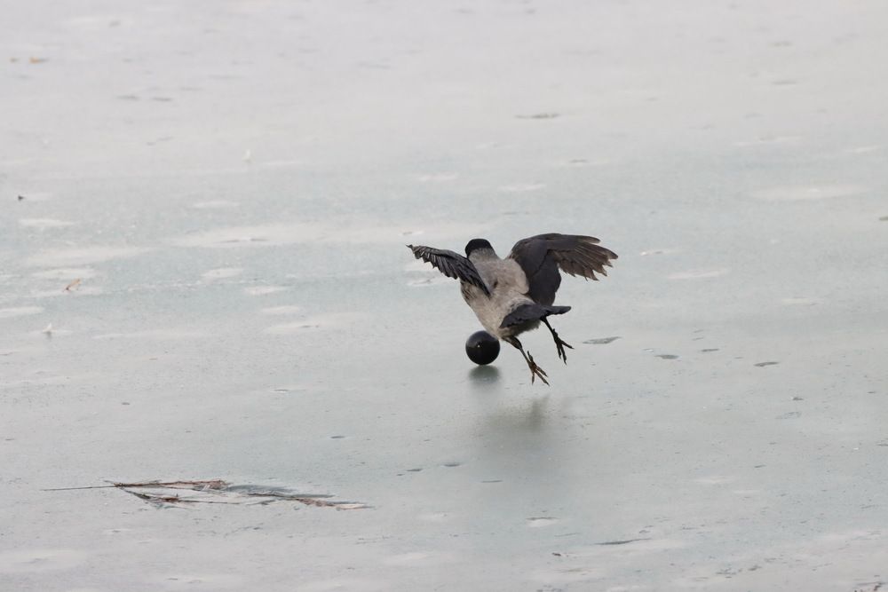 Photograph by Сергей Маслов