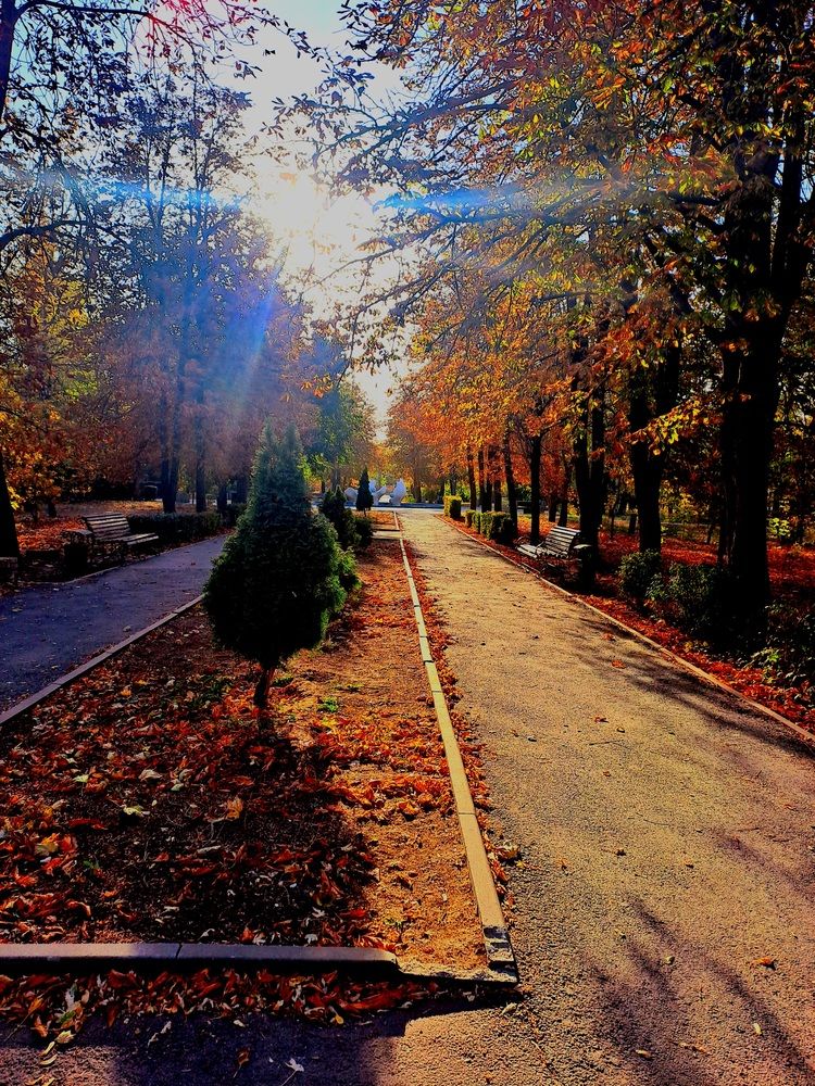 Photograph by Ольга