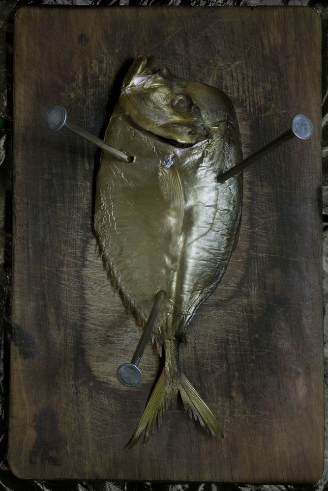 Photograph by Евгений