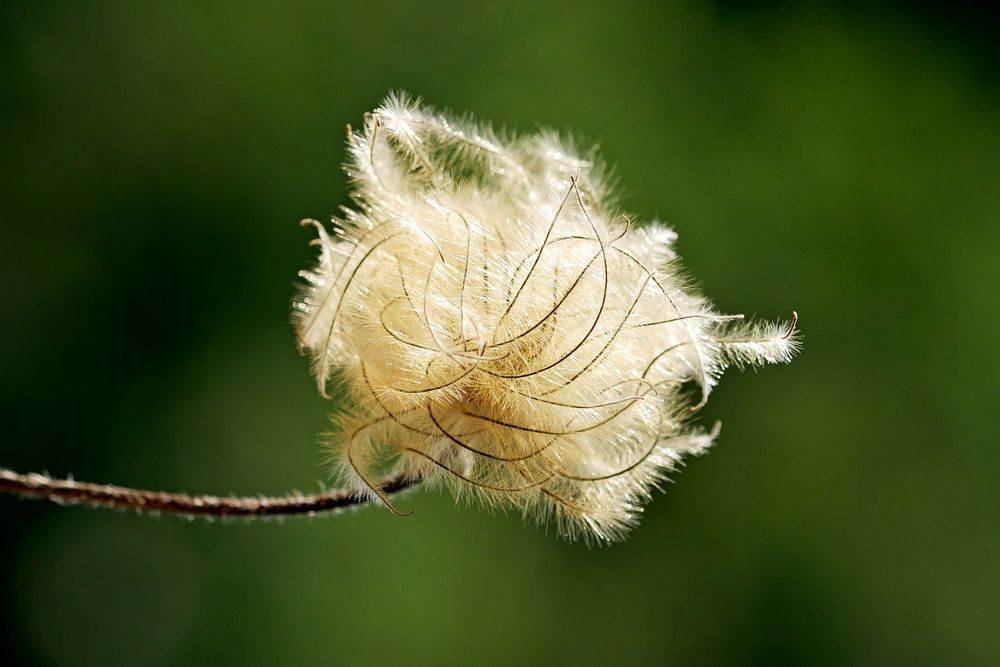 Photograph by Владимир Лобанов