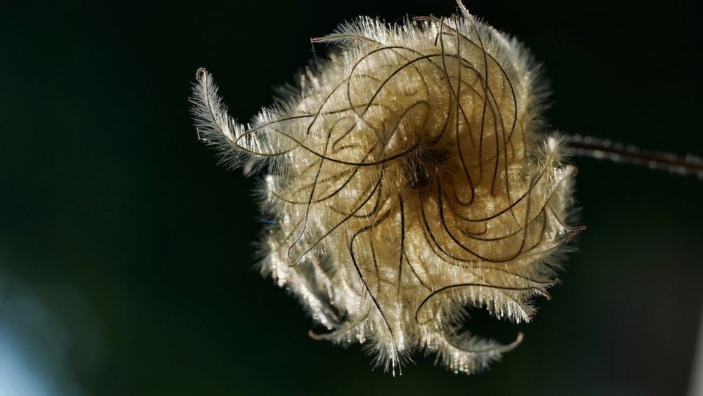 Photograph by Владимир Лобанов