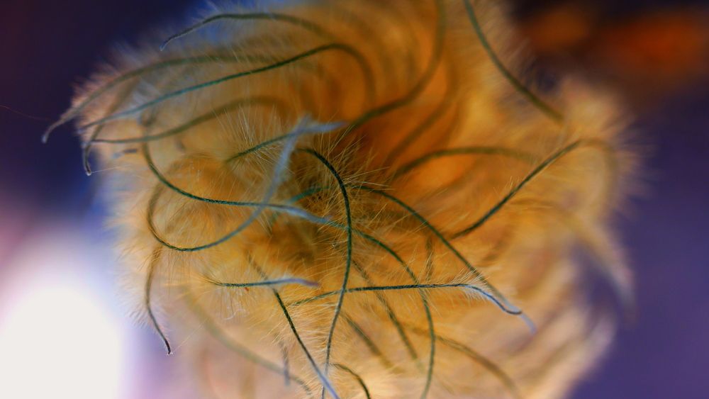 Photograph by Владимир Лобанов