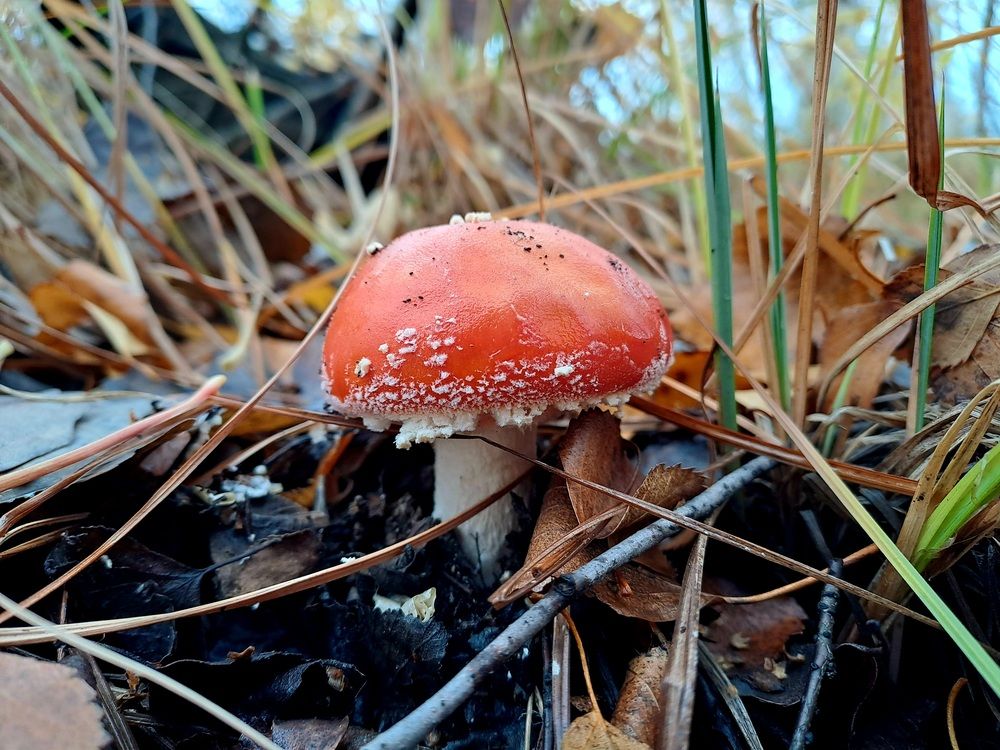 Photograph by Ольга