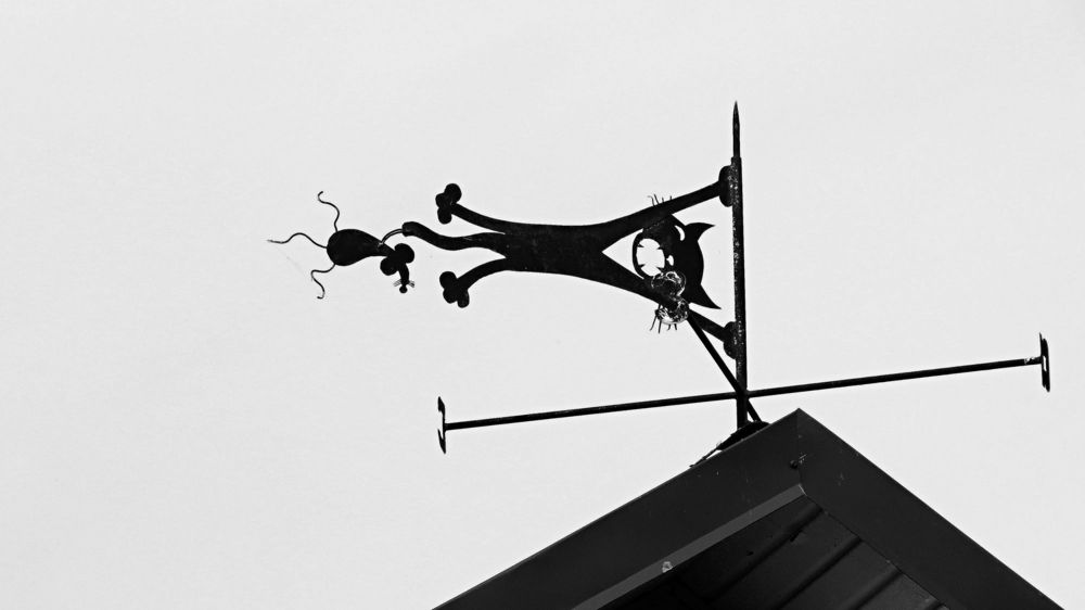 Photograph by Фартушняк Сергей