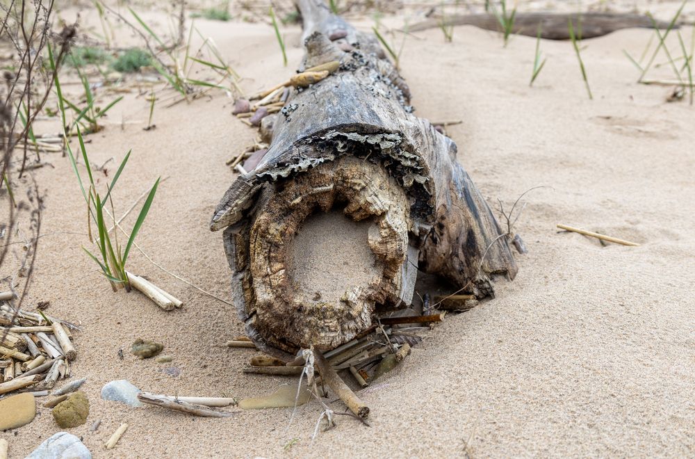 Photograph by Наталья Катюжанская